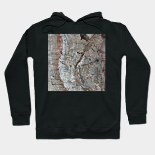 Cork Oak Tree Bark Texture 6 Hoodie